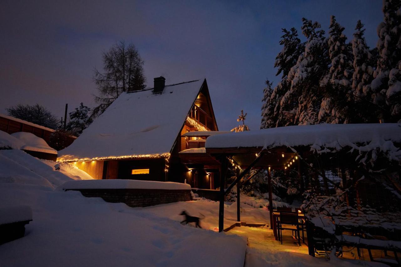 Baza Beskid, - Goraca Bania, Basen, Ogrod, Gory Villa Bielsko-Biala Exterior photo